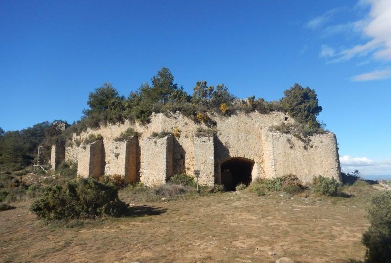 Mariola oriental 6